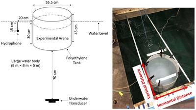Adopting a reductionist approach to advance acoustic deterrents in fish conservation